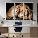 Lion and Lioness Wall Art Canvas Print – Framed African