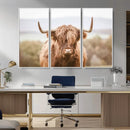 Scottish Serene Highland Cow Canvas Wall Art – Serene