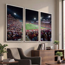 Washington-Grizzly Stadium Canvas Print, American Football
