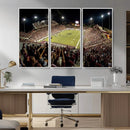 Washington-Grizzly Stadium Canvas Wall Art – Exciting Game