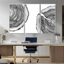 Abstract Large Tree Rings – Minimalist Black and White Wood