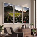 Oregon Stadium Canvas Wall Art - Captivating Game Day Scene