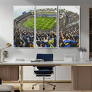 Boca Juniors Soccer Team Print Wall Art - Buenos Aires