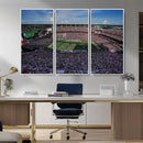 South Carolina Gamecocks Football Team Print - Columbia