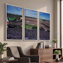 South Carolina Gamecocks Football Team Print - Columbia