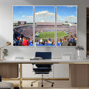 Buffalo Bills NFL Football Team Print - Buffalo Highmark