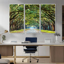 Wormsloe State Plantation Driveway Wall Art Canvas Print by MyGreatCanvas | Canvas Wall Art Prints | Photo Prints & Wall Decor