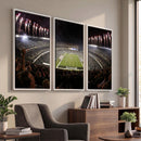 Eagles Field Stadium Wall Art - Philadelphia Eagles Football