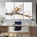 Barn Owl Wall Art on Branch | Stunning Canvas Print for