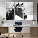 Horse Canvas Print - Winter Horse Snow Wall Art Canvas Print