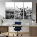 Scottish Highland Cow Wall Art | Black and White Canvas