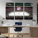 Honda Center California Anaheim Ducks Ice Hockey Stadium