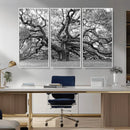 Black White Angel Oak Tree Wall Art - Timeless