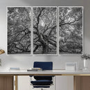 Majestic Angel Oak Tree Black and White Canvas Print – Multi by MyGreatCanvas | Canvas Wall Art Prints | Photo Prints & Wall Decor