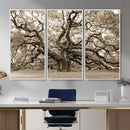 Sepia Framed Angel Oak Tree Wall Art - 3-Panel Canvas