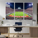 NC State Wolfpack Canvas Print - Raleigh Carter-Finley