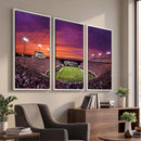 East Carolina University Pirates Football Print Canvas-