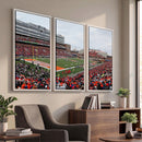 University of Illinois Fighting Illini Football Team Print -