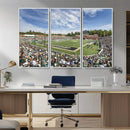 University of Charlotte 49ers Football Team Print - by MyGreatCanvas | Canvas Wall Art Prints | Photo Prints & Wall Decor