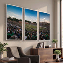 University of Charlotte 49ers Football Team Print -