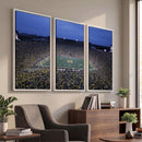 University of Michigan Wolverines Football Team Print - Ann