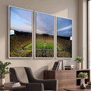 University of Michigan Wolverines Football Team Print - Ann