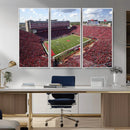 University of Nebraska Cornhuskers Football Team Print -