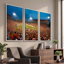 Clemson University Tigers Football Team Print - Clemson