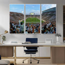 Michigan State Spartans Football Team Art Print - East