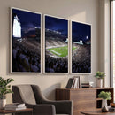 Michigan State Spartans Canvas, Framed Football Team Print -