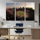 Ohio State University Buckeyes Football Team Print -