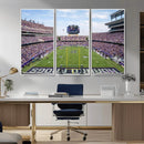TCU Horned Frogs Football Team Print - Fort Worth Amon G.