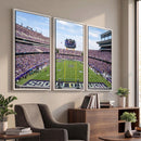 TCU Horned Frogs Football Team Print - Fort Worth Amon G.