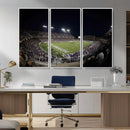 TCU Horned Frogs Football Team Print - Fort Worth Amon G.