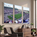 The Texas Christian University TCU Horned Frogs Football
