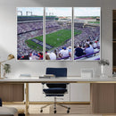 The Texas Christian University TCU Horned Frogs Football