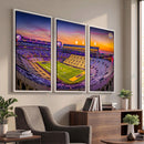 The Louisiana State University Tigers Football Team Print -