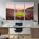 The University of Southern California USC Trojans Football by MyGreatCanvas | Canvas Wall Art Prints | Photo Prints & Wall Decor