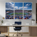 Air Force Falcons Football Team Print - Colorado Springs