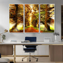 Sunshine in Forest and Trees Wall Art Canvas Print by MyGreatCanvas | Canvas Wall Art Prints | Photo Prints & Wall Decor