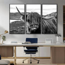 Longhorn Steer Canvas Print Wall Art, Highland Cow Canvas by MyGreatCanvas | Canvas Wall Art Prints | Photo Prints & Wall Decor