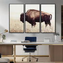 Bison in Field Wall Art Canvas Print For Farmhouse Barn
