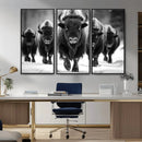 American Bison Art | Buffalo Herd Wall Art Canvas Print, BW by MyGreatCanvas | Canvas Wall Art Prints | Photo Prints & Wall Decor