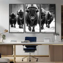 American Bison Art | Buffalo Herd Wall Art Canvas Print, BW