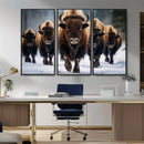 Buffalo Wall Art Canvas Print, American Bison Herd Wall Art by MyGreatCanvas | Canvas Wall Art Prints | Photo Prints & Wall Decor