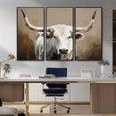 White Longhorn Bull Wall Art Canvas Print – Framed and Ready