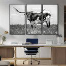 Texas Black White Highland Longhorn Cow Wall Art Canvas by MyGreatCanvas | Canvas Wall Art Prints | Photo Prints & Wall Decor