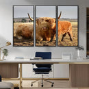 Highland Cow Canvas Wall Art Animal Print for Farm House