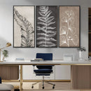 Minimalist Botanical Wall Art Canvas Print, Framed and Ready