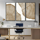 Rustic Brown Tree Ring Wall Art Canvas Print – Framed and